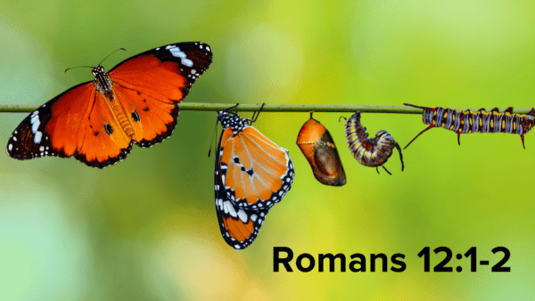 Romans 12:1-2 Image