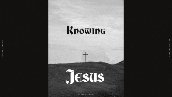 Knowing Jesus | Gospel of John Image