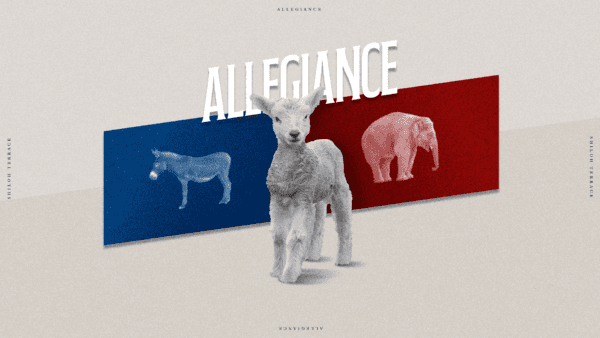 Allegiance  Image